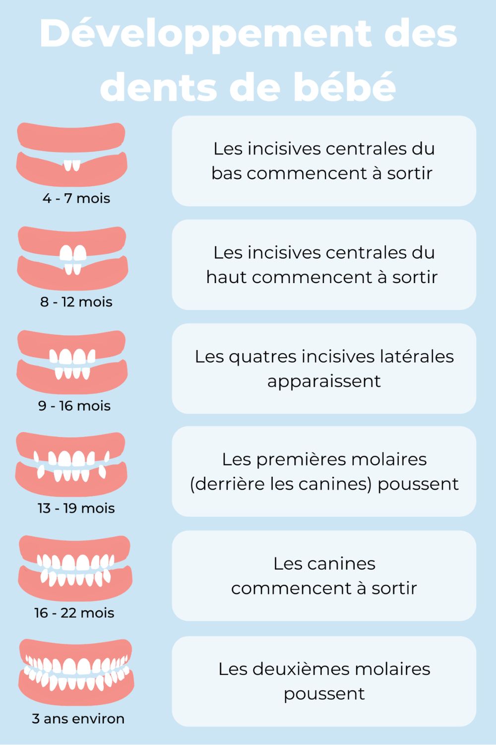 what teeth grow first?